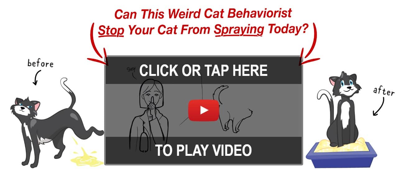 Cat Spray Stop Reviews
